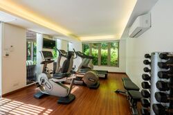 Nassim Regency (D10), Condominium #553855811